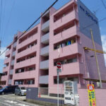 外観　ピンクでお馴染のマンションです！
